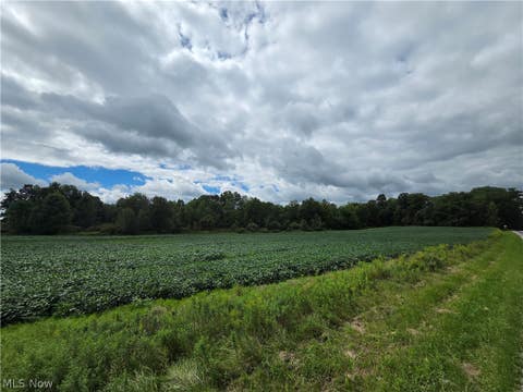 Tiny photo for Norton Road, Garrettsville, OH 44231 (MLS # 5239499)