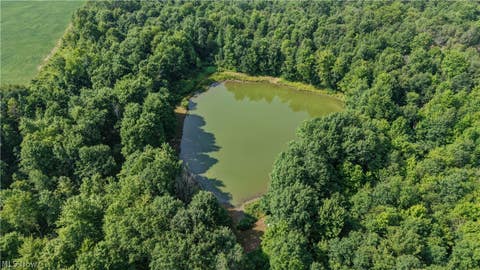 Tiny photo for Norton Road, Garrettsville, OH 44231 (MLS # 5239499)