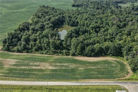 Tiny photo for Norton Road, Garrettsville, OH 44231 (MLS # 5239499)