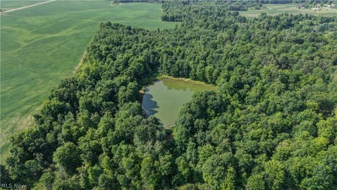 Tiny photo for Norton Road, Garrettsville, OH 44231 (MLS # 5239499)