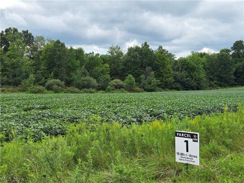 Tiny photo for Norton Road, Garrettsville, OH 44231 (MLS # 5239499)