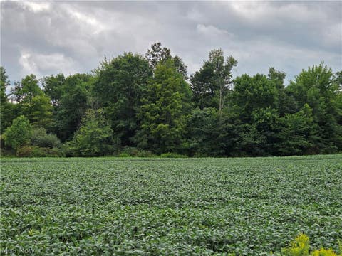 Tiny photo for Norton Road, Garrettsville, OH 44231 (MLS # 5239499)