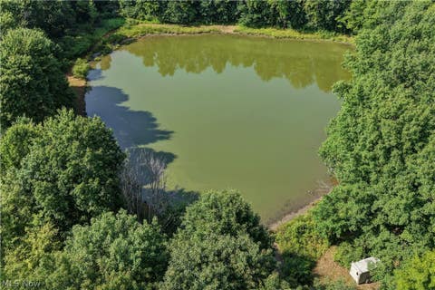 Tiny photo for Norton Road, Garrettsville, OH 44231 (MLS # 5239499)