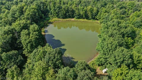 Tiny photo for Norton Road, Garrettsville, OH 44231 (MLS # 5239499)