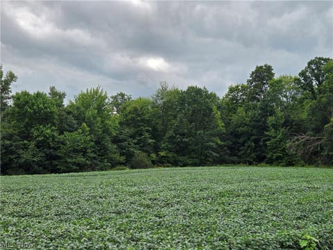 Tiny photo for Norton Road, Garrettsville, OH 44231 (MLS # 5239499)