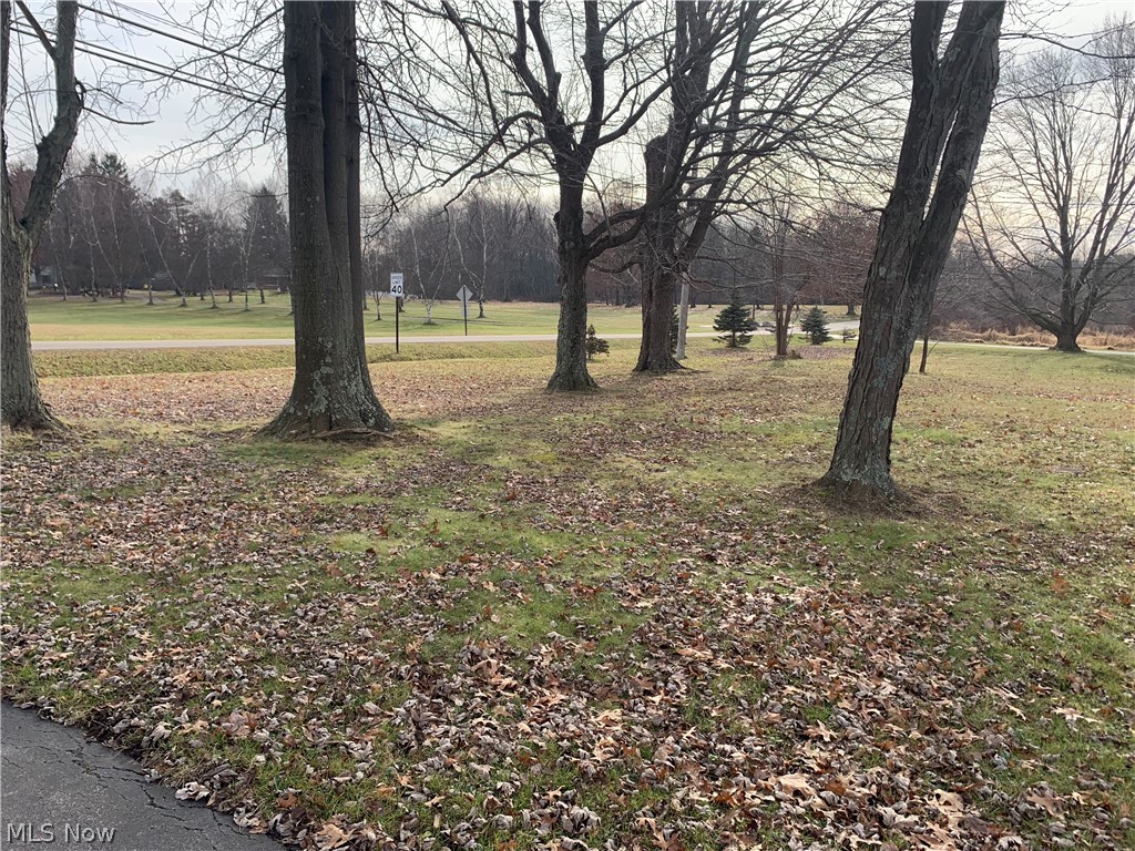 D M & J J Almasy 01 - Residential