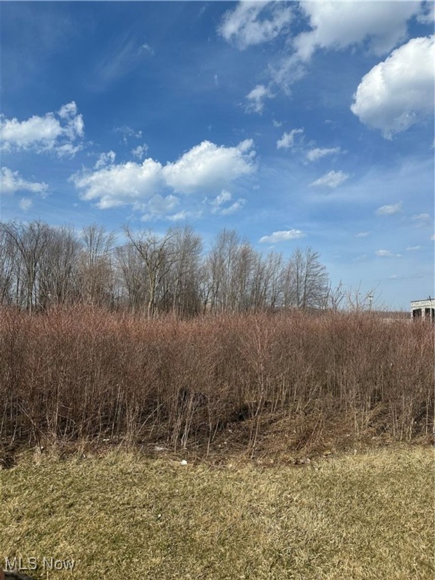 Great development site for Retail, office, buisness, warehouse and multiple uses. Corner lot with major traffic count. Across form Lost Nation Airport. The city is a putting a Circle interchange on Lost Nation rd. The city wants more development and opportunities in that area. The airport is going to growing even more. Since Burke Lake is going to be closing all those clients are now moving to Willoughby. Osborne Park along the Lake is being built up and shoreline is being stabilized. There is an amphitheater going in the park along with the existing pool, playground and sports fields. Huge attraction. Tax abatement is possible.