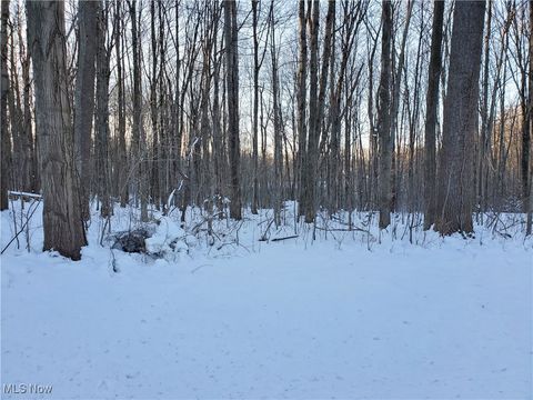 Geauga Lake Road Chagrin Falls OH 44023