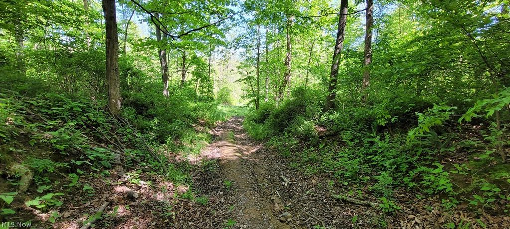 Photo of 72577 Old Twenty-One Road, Kimbolton, OH 43749 (MLS # 5209637)