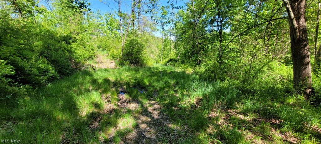 Photo of 72577 Old Twenty-One Road, Kimbolton, OH 43749 (MLS # 5209637)