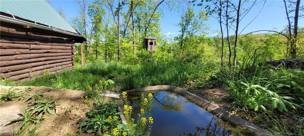 Photo of 72577 Old Twenty-One Road, Kimbolton, OH 43749 (MLS # 5209637)