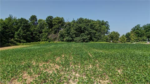 Tiny photo for 2 Norton Road, Garrettsville, OH 44231 (MLS # 5239520)