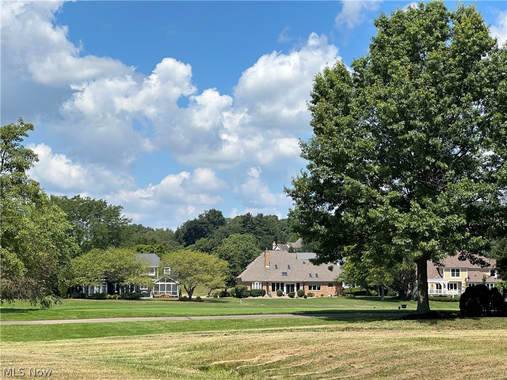 Hollyhock Avenue, Canton, Ohio image 7