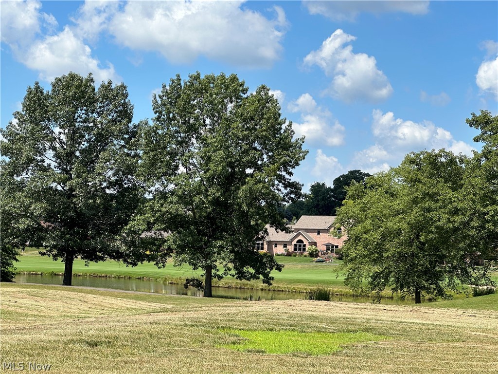 Hollyhock Avenue, Canton, Ohio image 6