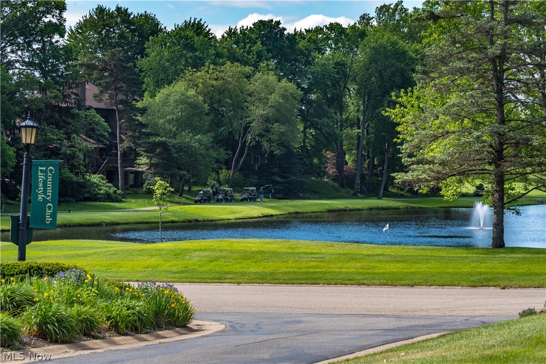 Hollyhock Avenue, Canton, Ohio image 8