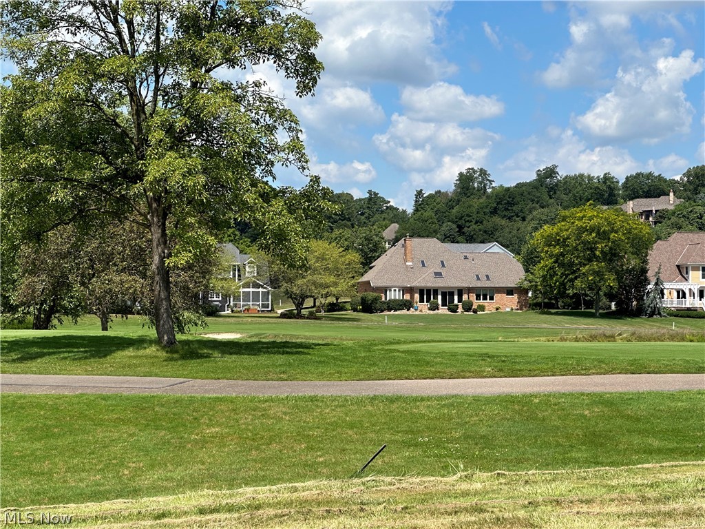 Hollyhock Avenue, Canton, Ohio image 4