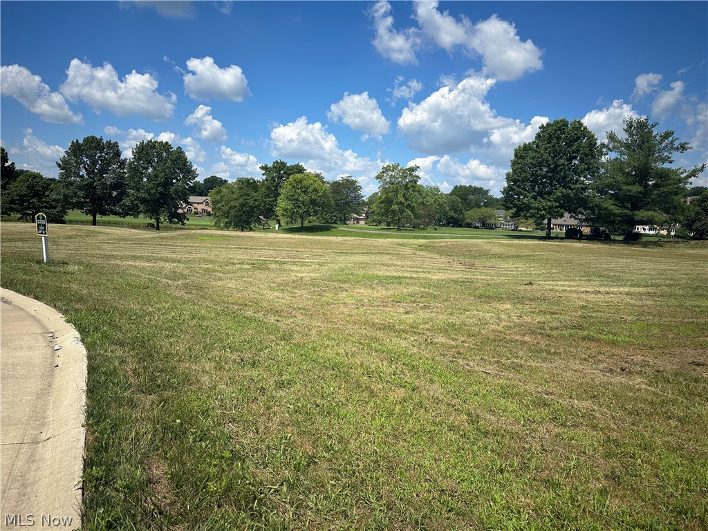 Hollyhock Avenue, Canton, Ohio image 2