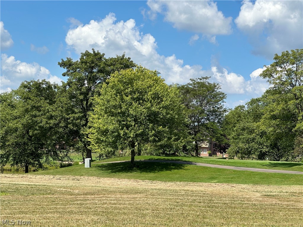 Hollyhock Avenue, Canton, Ohio image 3