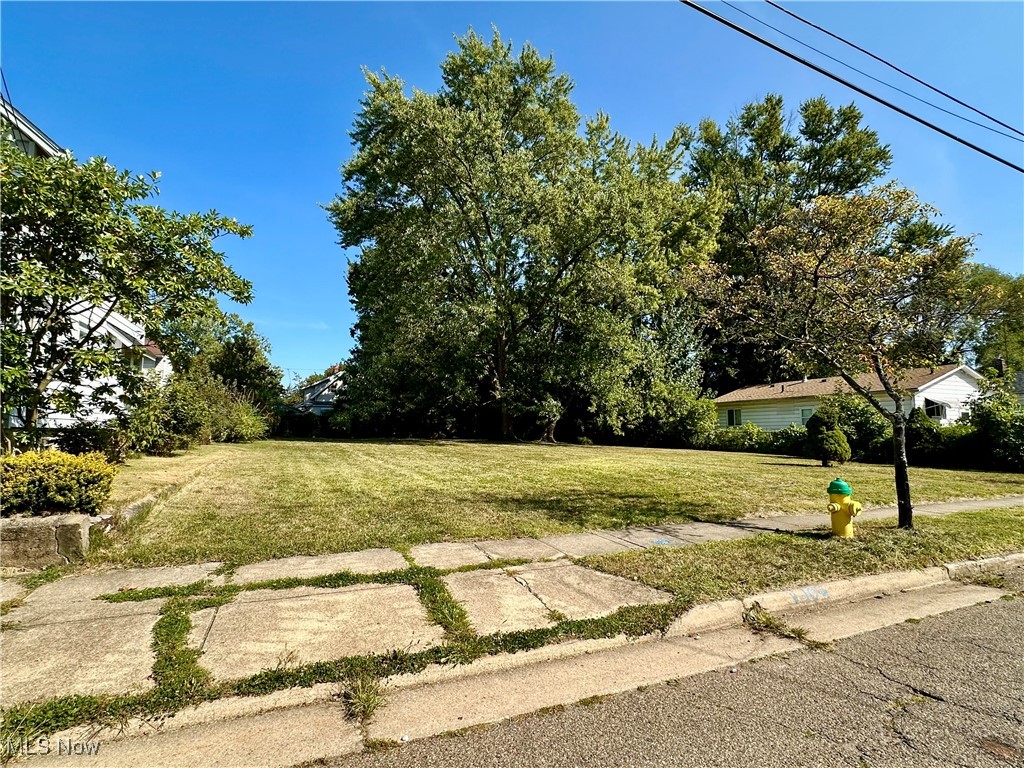 Sawyer & Haynes Collinwood All - Land