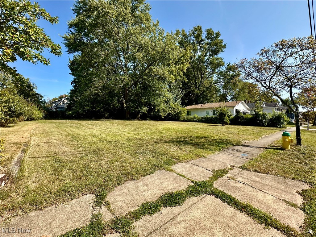 Sawyer & Haynes Collinwood All - Land