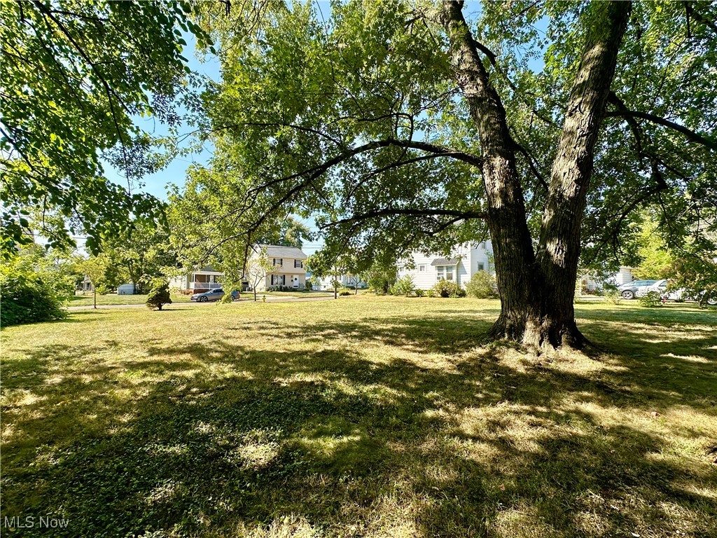 Sawyer & Haynes Collinwood All - Land