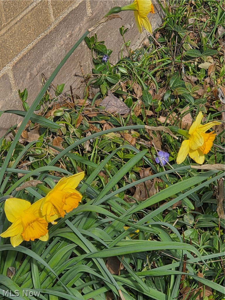 Butternut Ridge - Residential