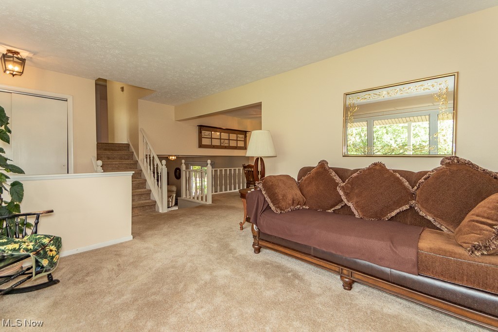 10410 Pinegate Drive, Chardon, Ohio image 4