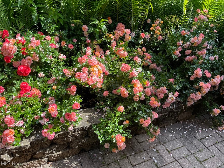 Meadowbrook Overlook Sub/A Sch - Residential