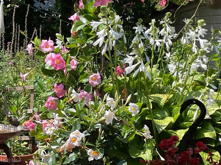 Meadowbrook Overlook Sub/A Sch - Residential