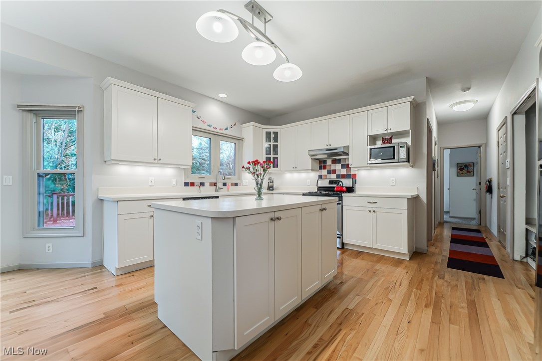 5314 Denise Court, Solon, Ohio image 14