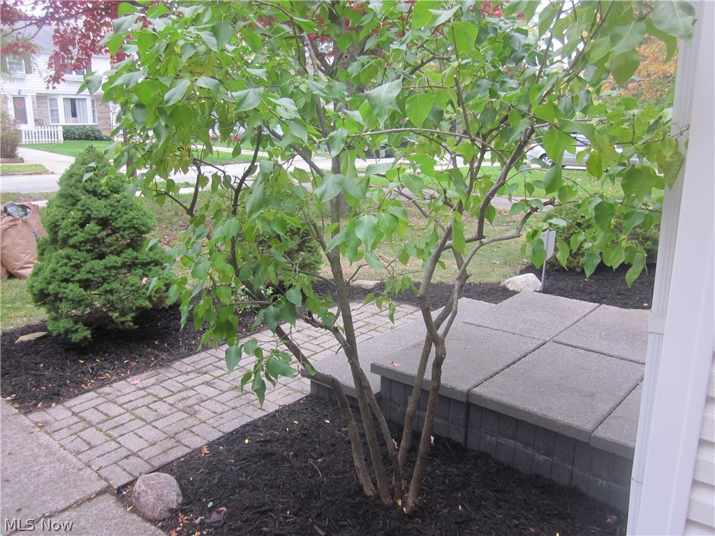 Monticello - Residential