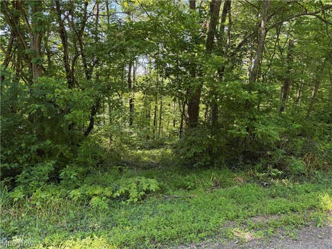 Vacant Land For Sale - Fisher Ridge Rd, Tract 6 Road<br/> Fleming, OH 45729
