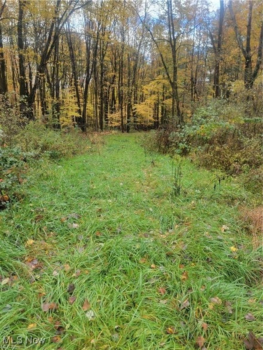 Wooded double lot in Richmond Township. Unimproved, quiet area. Each lot has 70 feet of actual frontage, with 100 feet of effective frontage due to the coved street. Lot is adjacent to wildlife area. Shore distance to the Padanaram boat docks and water access.