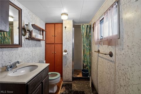 Tiny photo for 508 W Jackson Street, Paulding, OH 45879 (MLS # 5187524)