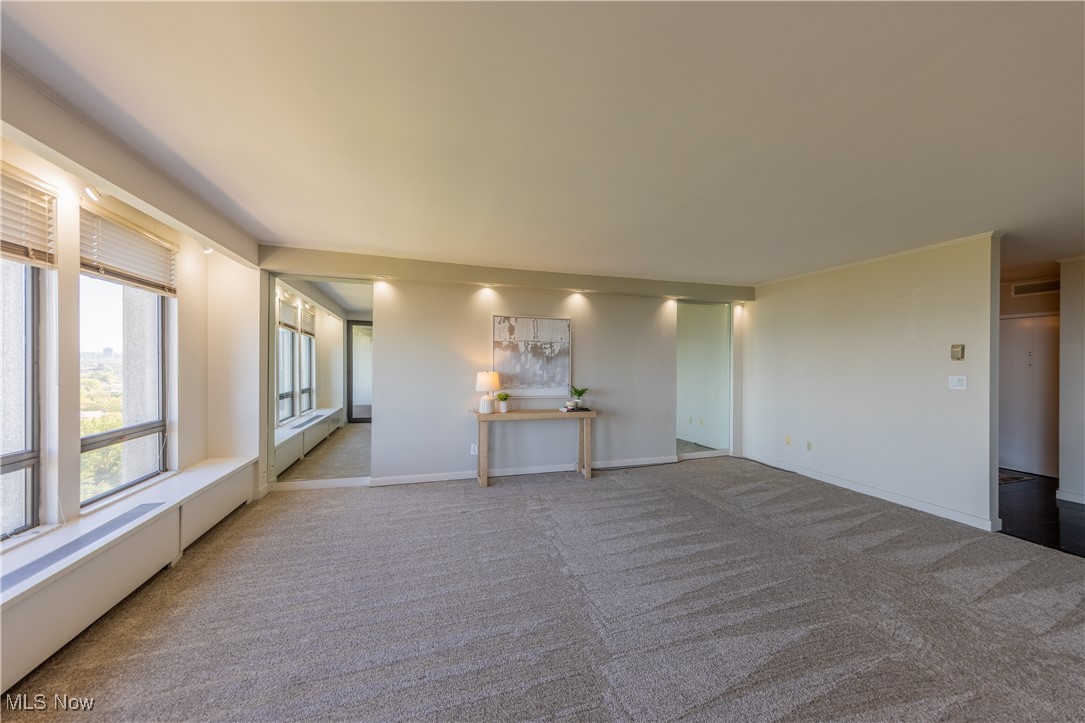 One Bratenahl Place Condo - Residential