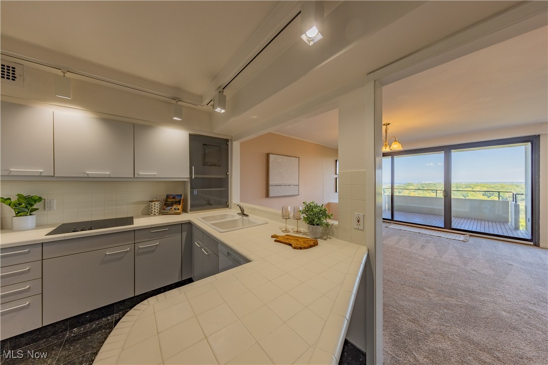 One Bratenahl Place Condo - Residential