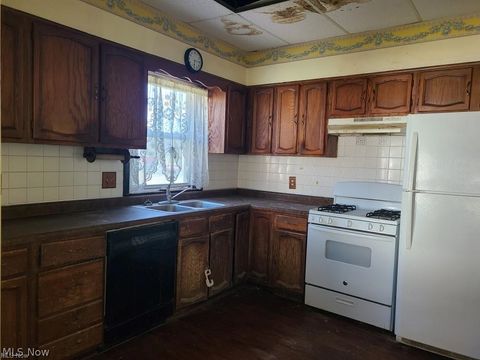 Tiny photo for 344 W Main Street, East Palestine, OH 44413 (MLS # 5186383)