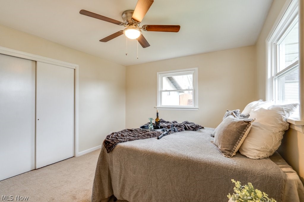 Forrest Hill - Residential