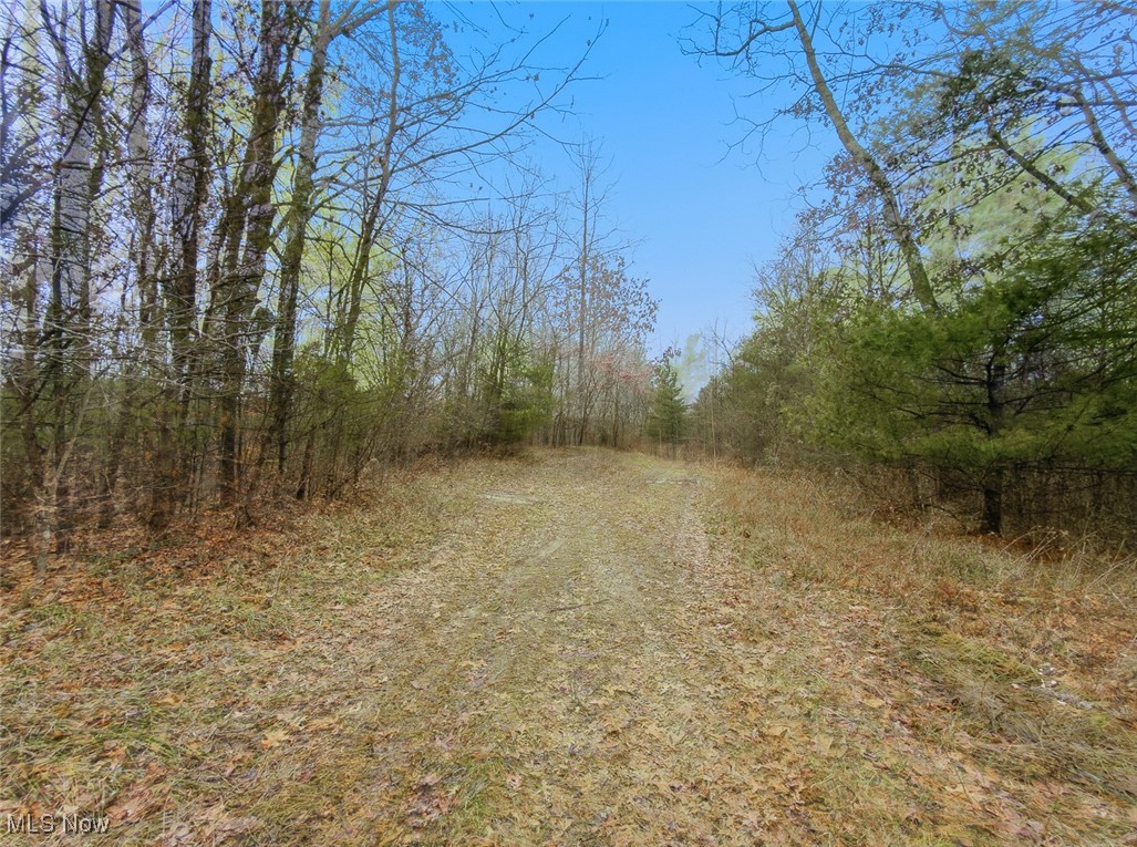 0 Township Rd 318