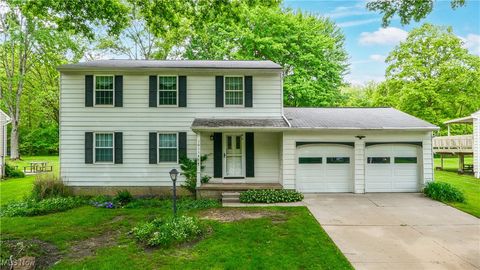 10114 Pirates Trail Reminderville OH 44202