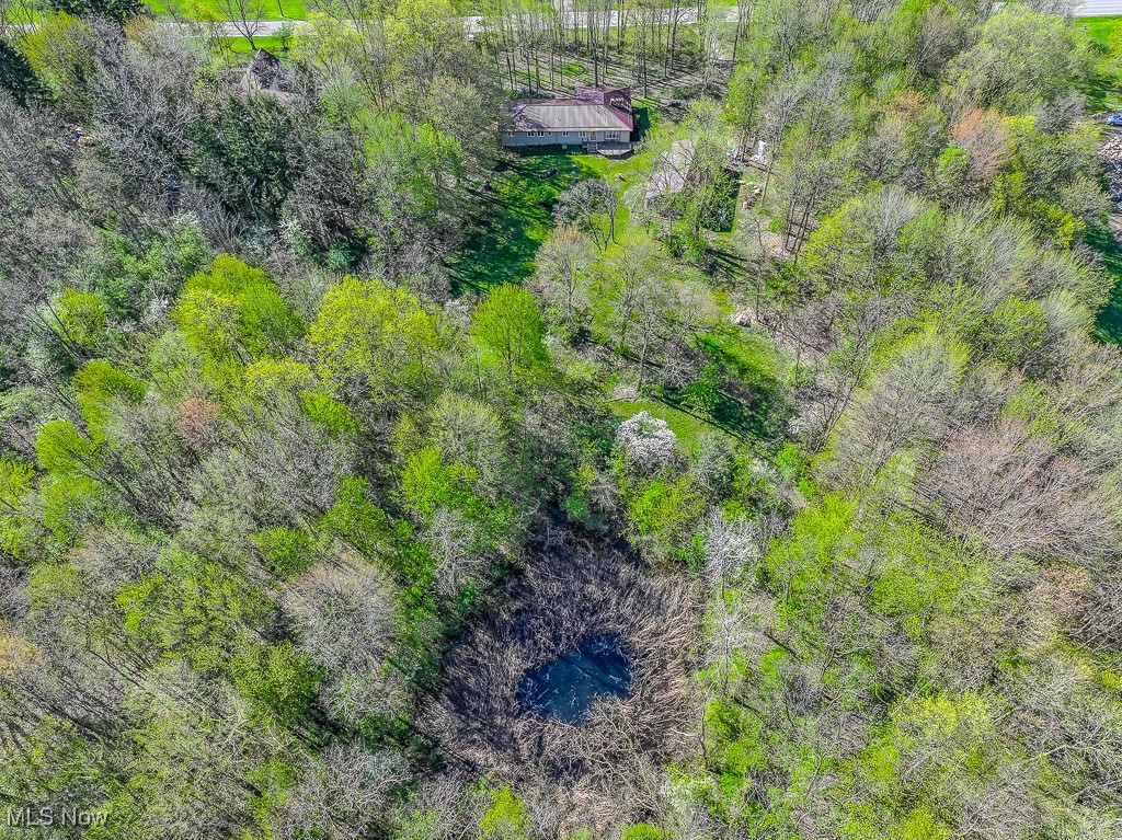 4467 River Road, Perry, Ohio image 24
