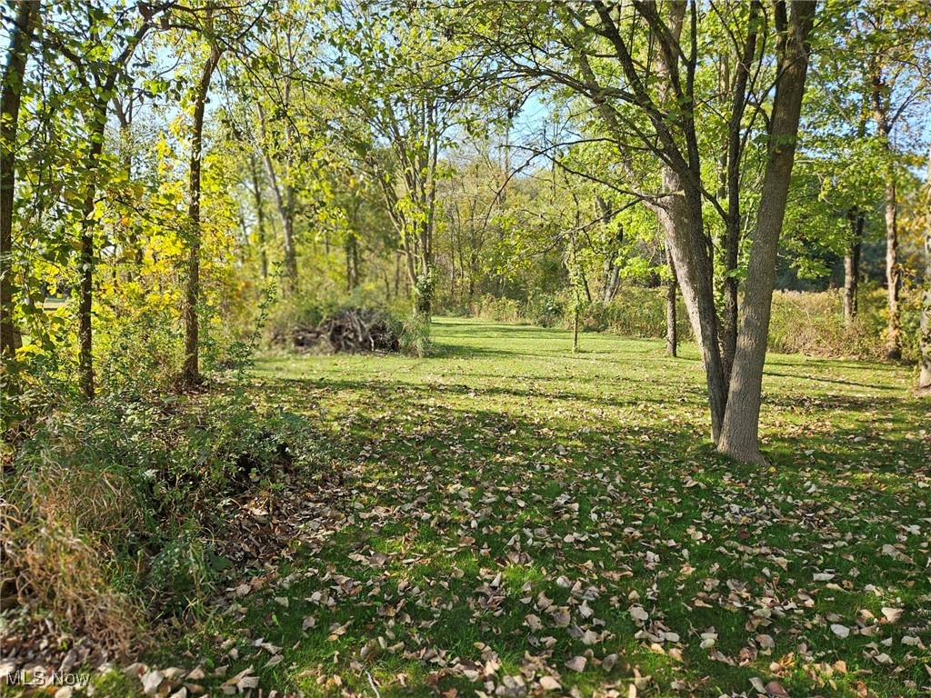 14163 Sousa Street, North Lawrence, Ohio image 39