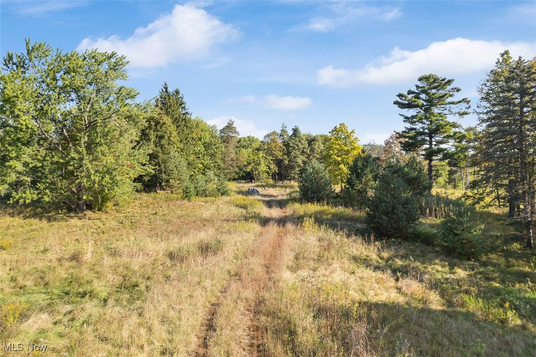 1345 E Royalton Road