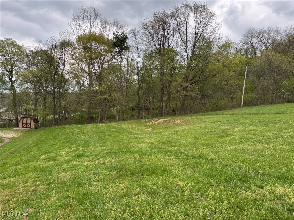 16530 County Road 297, Conesville, Ohio image 7