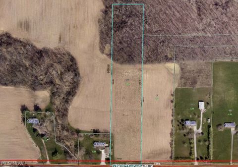 Vacant Land For Sale - Peck Wadsworth Road<br/> Wellington, OH 44090