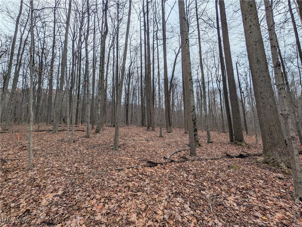 Chardon Township - Land