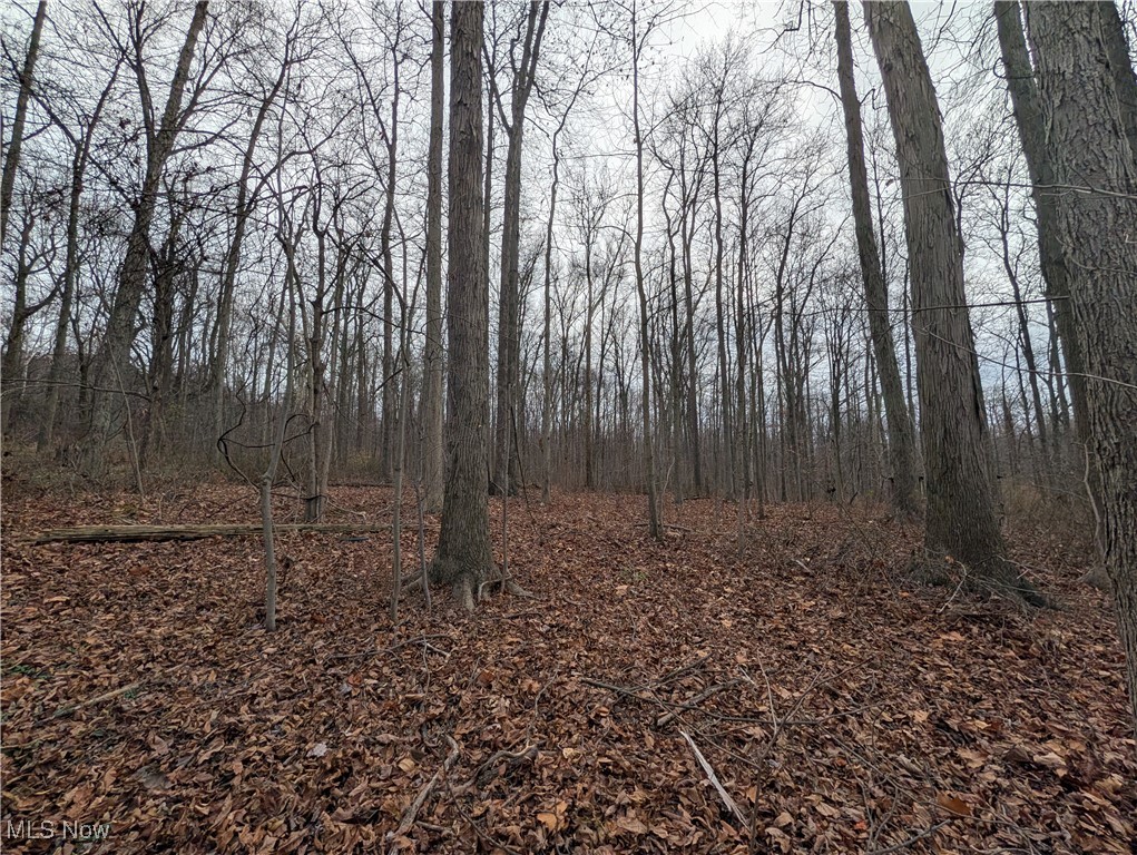 Chardon Township - Land