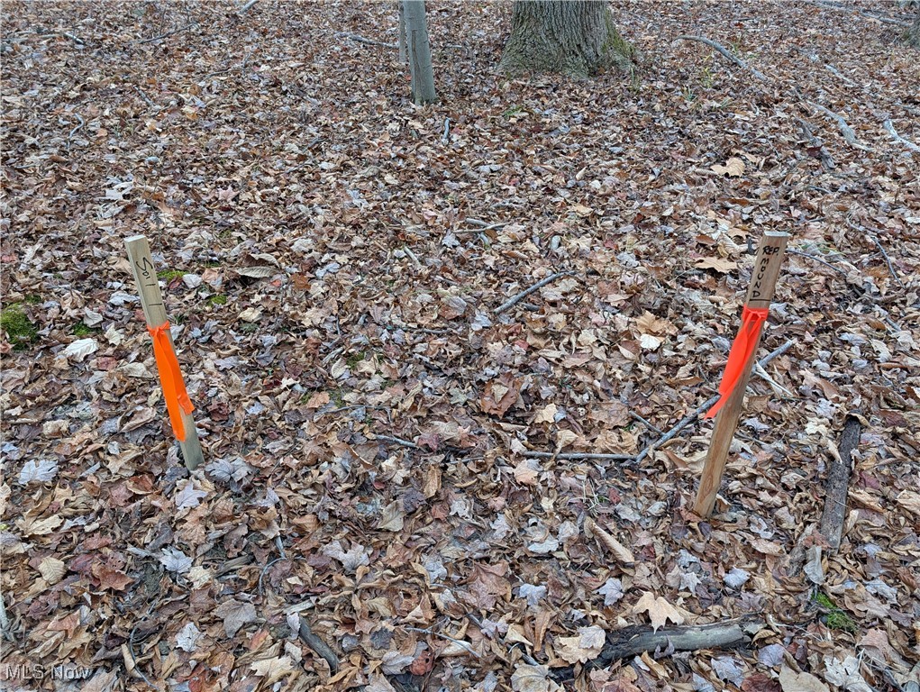 Chardon Township - Land