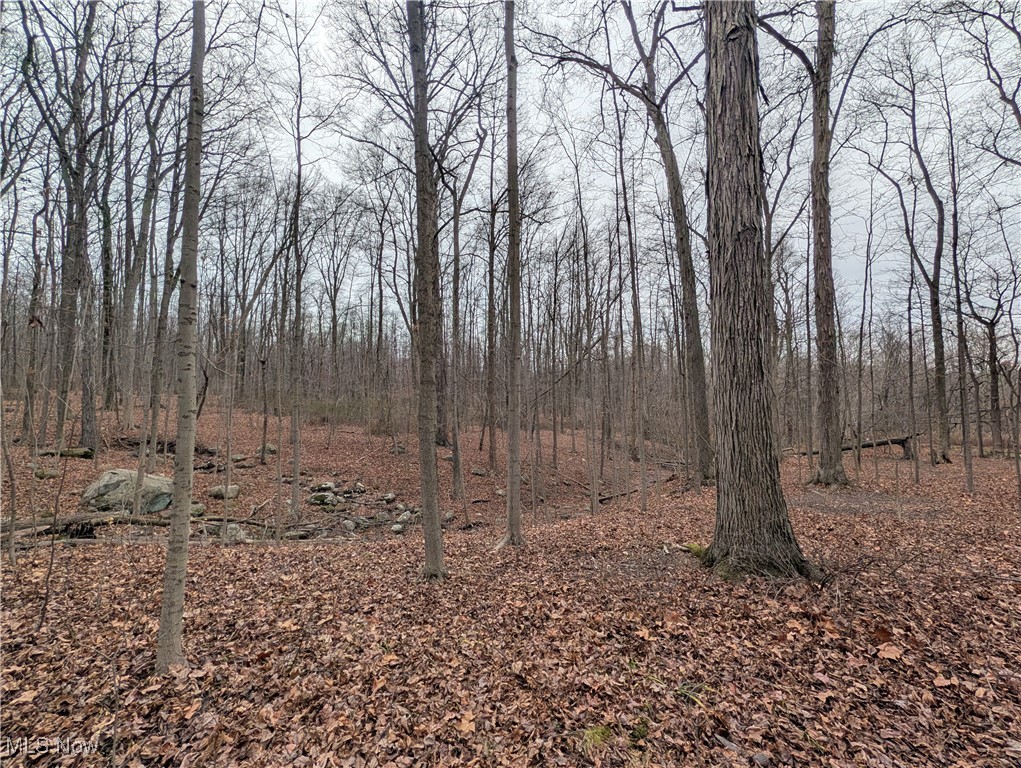 Chardon Township - Land