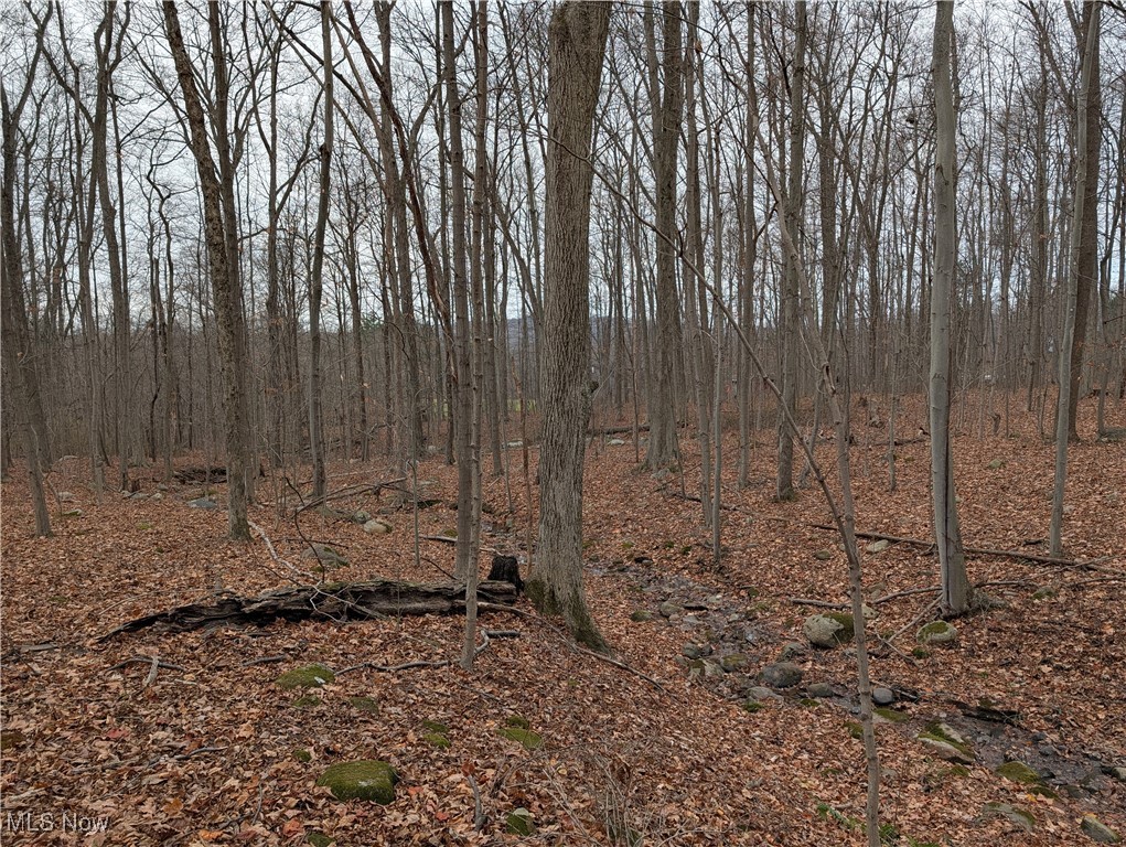 Chardon Township - Land